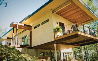 Hemp Plant and the Resurgence of Natures Medicine