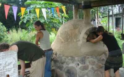 Community Gardens Cut out the Middle Man