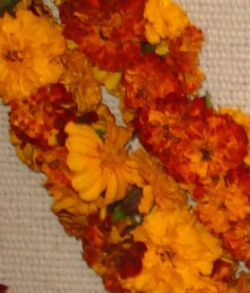 Marigold Lei