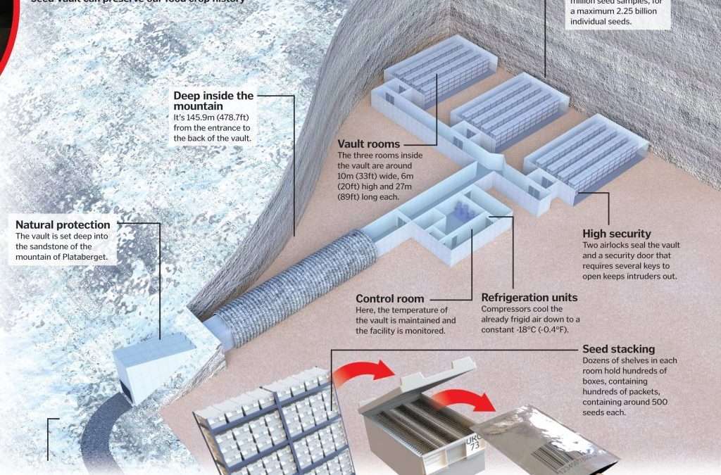 Doomsday Seed Vault and Organic Farming Ban. Are they connected?