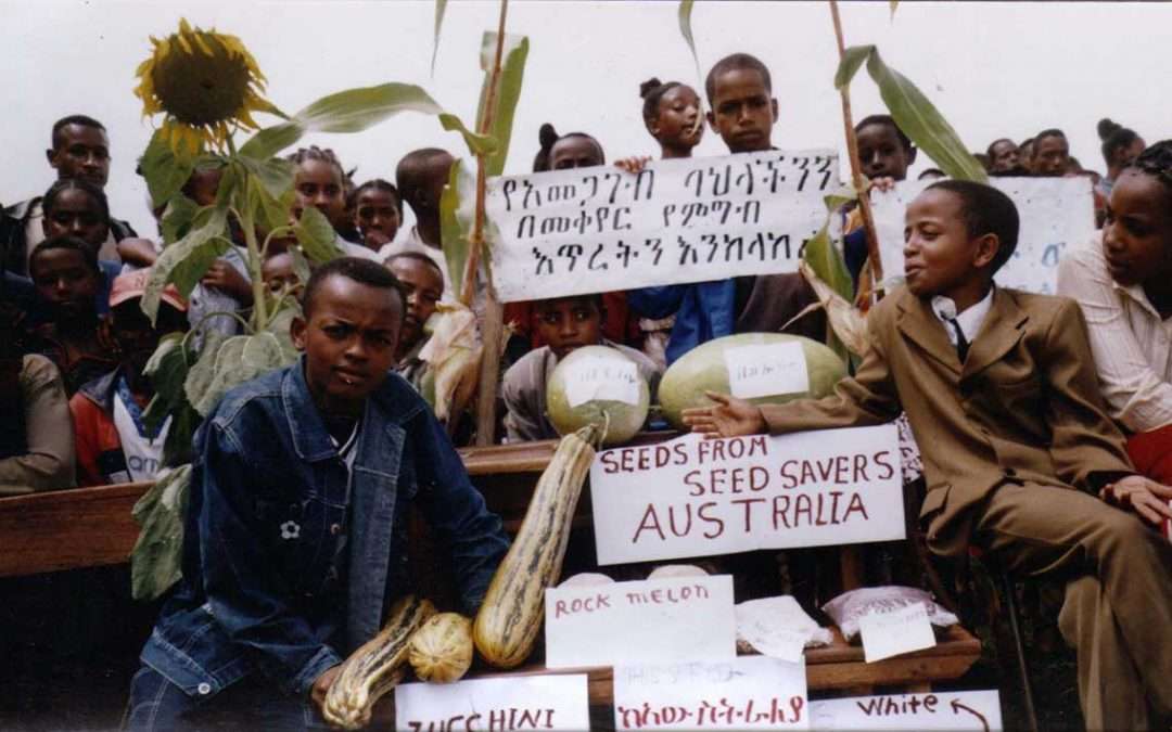 Ethiopian Food Security Revolution Organic Production of Soil