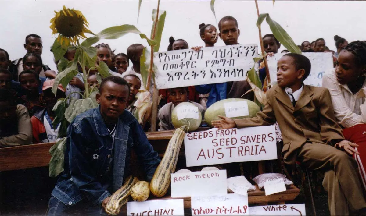 Seed Saving Addis Ababa Ethiopia Rastaseed.com