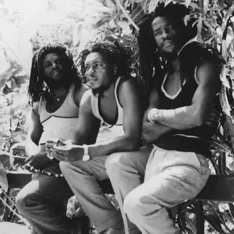 Itals Reggae Artists Rastaseed.com