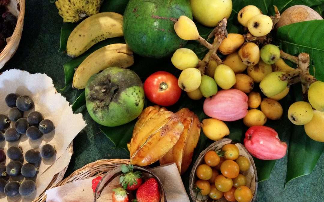 Fruit Tree Planting Guide for the Subtropics