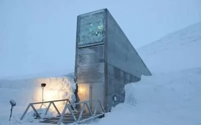Svalbard Norwegian Seed Bank is not Protecting Diversity of Food Crops