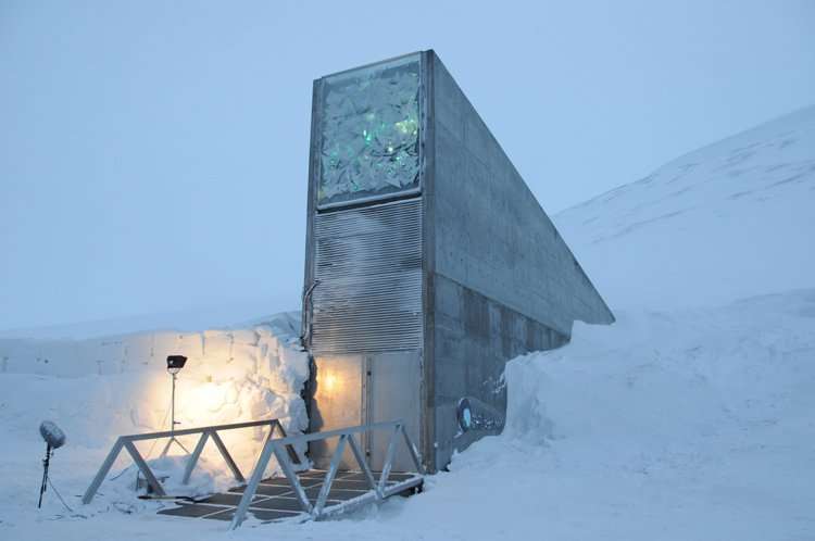 Svalbard Norwegian Seed Bank is not Protecting Diversity of Food Crops