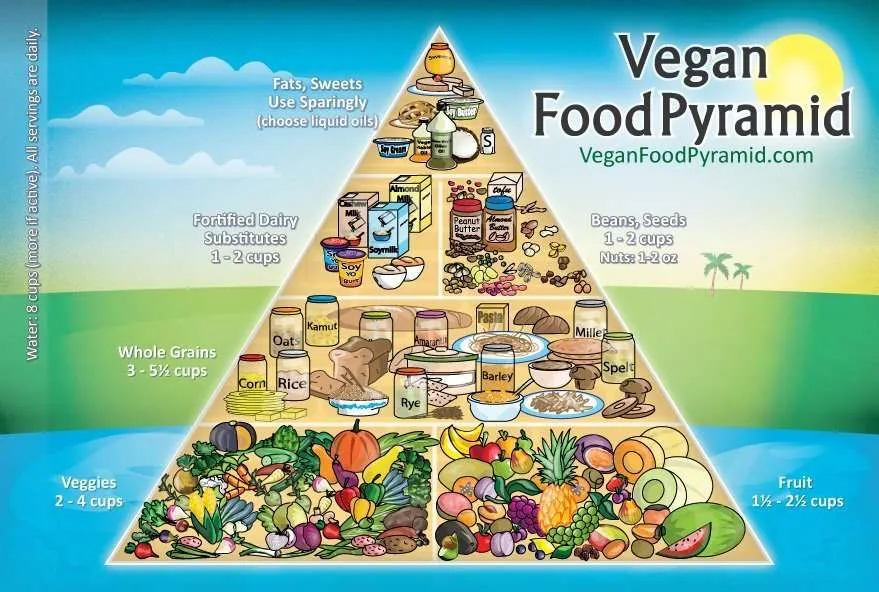 Vegan diet can put less strain on planet earth rastaseed.com