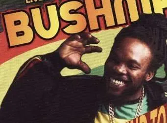 Bushman Jamaican Reggae