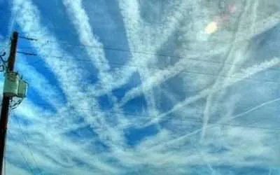 Chemtrails Humans and the Plants being poisoned