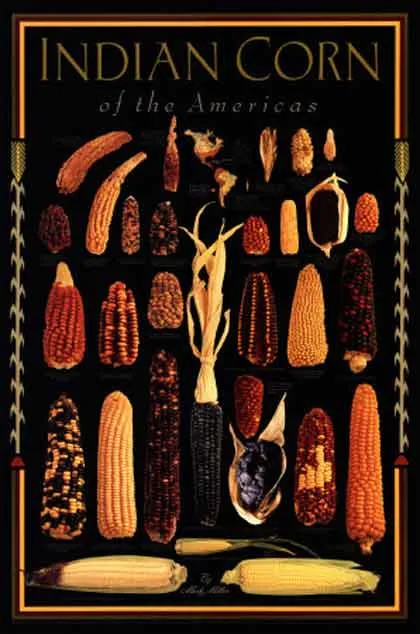 saving indigenous corn seed in Mexica from transnational companies. Rastaseed.com