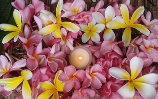 Ceremony is a seed – plant it