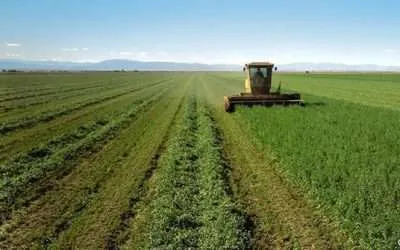 Get Rid of GMO in our Food