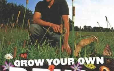 Home Grown Mosquito Repellent from your Rasta Garden