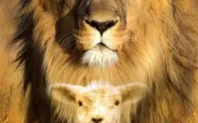 Rasta Lion of Judah Symbol