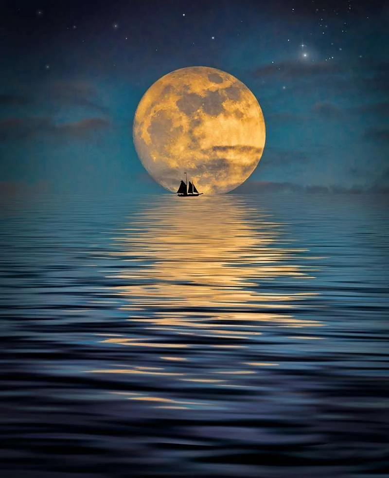 Moon Gardening for success Rastaseed.com