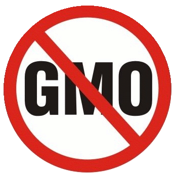 GE Crops Producing Mystery Illnesses
