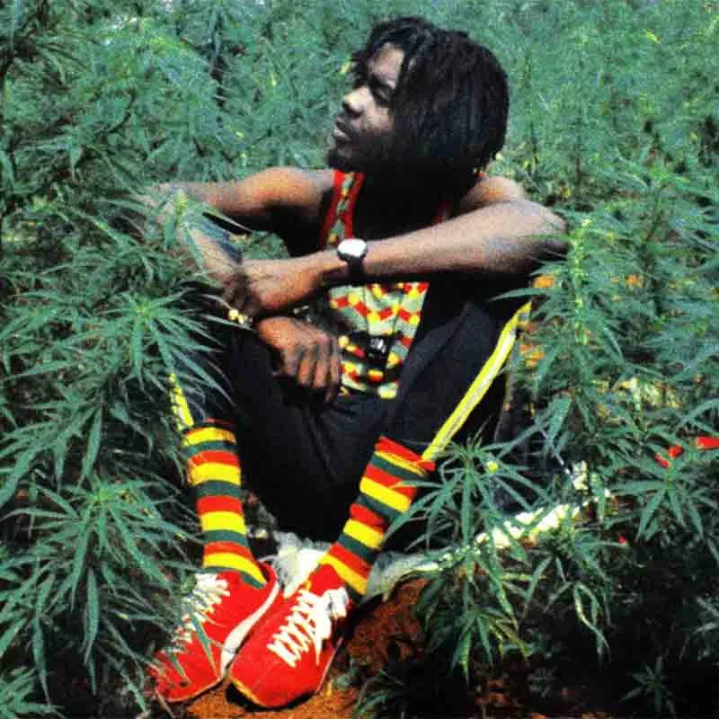 Peter Tosh Reggae Artist Rastaseed.com