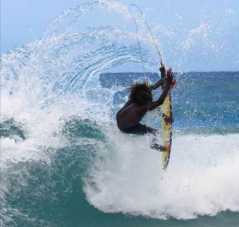 Rasta surfer Jamaica staging.rastaseed.com