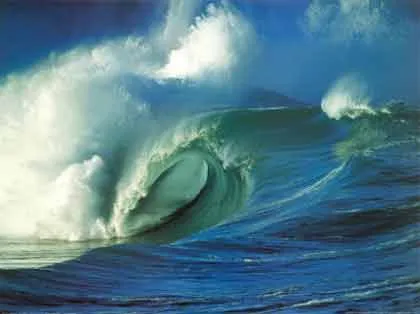 Rasta Surfers Protecting The Environment