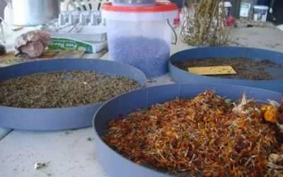 Local Foods Seed Bank for slow food