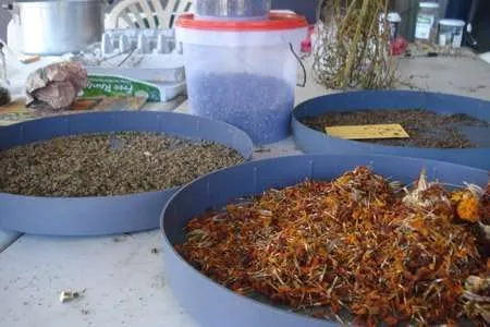 Local Foods Seed Bank for slow food