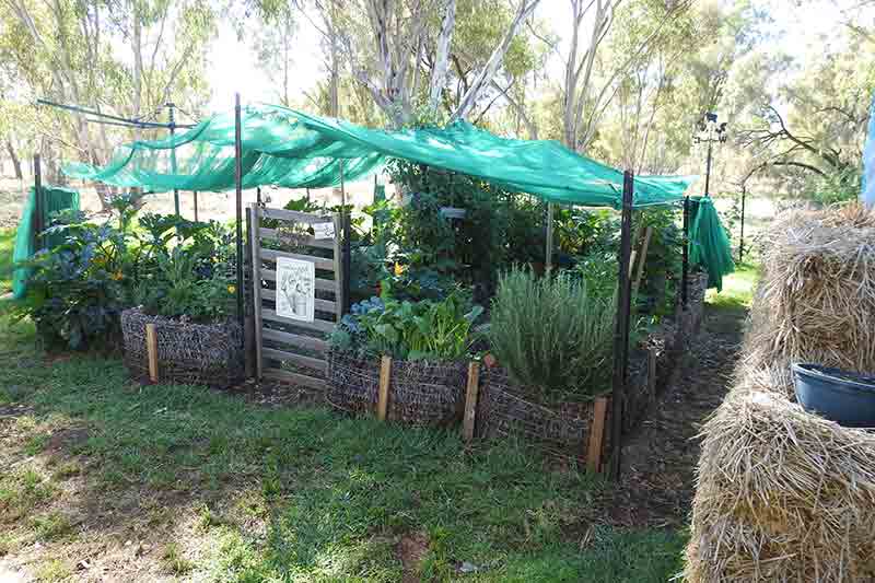 Straw bale gardening rastaseed.com